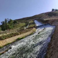 زمین مسکونی کوهرنگ(چلگرد) ،سندتک برگ
