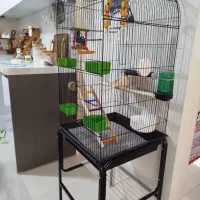 قفس عروس|لوازم جانبی حیوانات|تهران, جنتآباد جنوبی|دیوار
