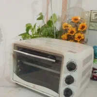 فر کوچیک و قوی و سالم