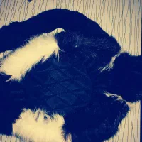 هدفون نو.. تابلو اسسنپ آهنربایی.. پاد دائمی|لوازم جانبی موبایل و تبلت|بجنورد, |دیوار