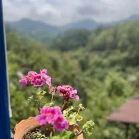 همکار برای اقامتگاه بومگردی واشپز