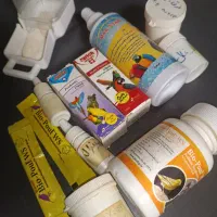 لوازم پرورش عروس هلندی|لوازم جانبی حیوانات|گنبد کاووس, |دیوار