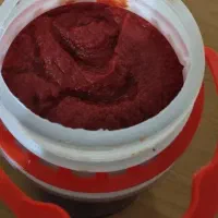 رب خانگی