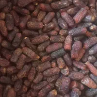 خرما پیارم حاجی آباد|حراج|یزد, |دیوار