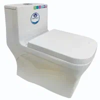 توالت فرهنگی