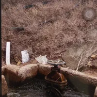 فروش-گروه-کشاورزی-یک-تیکه