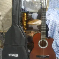 گیتارتمام دست‌سازکات‌اوی(چوب محشرگردو،صدای بینظیر)