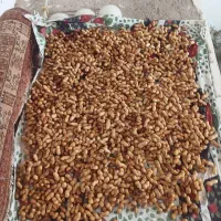 بادام زمینی مغان