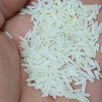 برنج ایرانی