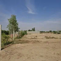 زمین باغی هندیجان