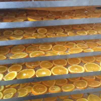 استخدام دایمی با بیمه|استخدام صنعتی، فنی، مهندسی|تالش, طولارود|دیوار