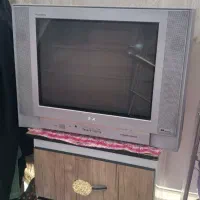 تلویزیون