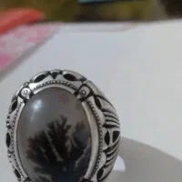 انگشتر نقره شجر قائن زنجان۱