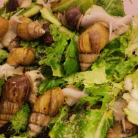 حلزون و خاویارحلزون