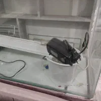 آکواریوم همراه با وسایل|ماهی|مشهد, شهید بهشتی|دیوار