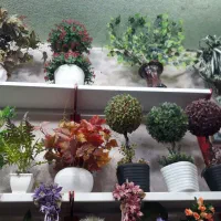 کادوی روزمادروروز زن درکنارشماییم|فعالیت داوطلبانه|شوشتر, |دیوار