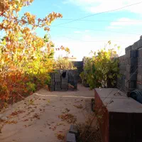 فروش ویژه باغ|فروش خانه و ویلا|نیشابور, مازول|دیوار