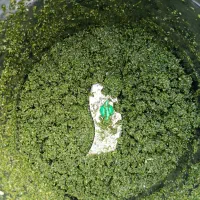 سبزی خورشتی آماده خانگی|خوردنی و آشامیدنی|کرمانشاه, |دیوار