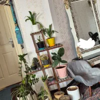 گل و گلدان با اشانتیون یک جا باهم