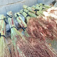 فروش جارو گال. عمده و خرده|لوازم نظافت|روانسر, |دیوار