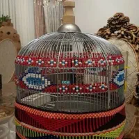 سهره خاکی پروکلام دار رقاصک کاکول کش بسیار شرور