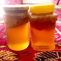 عسل وحشی