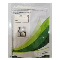 بهترین ارقام بذور پیاز هندوانه کدو خورشتی ملون و..