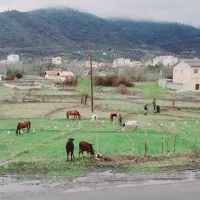 رهن آپارتمان جاده لوحه سرا ماسال|اجارهٔ آپارتمان|ماسال, |دیوار