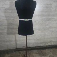 مانکن سوزن خور