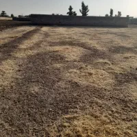 زمین-سنددار-آب-وبرق20مترفاصله-تا-زمین