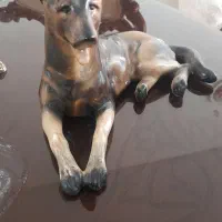 مجله و مجسمه انتیک