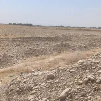 یک هکتار زمین