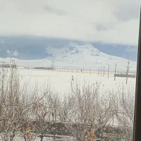 زمین-کشاورزی-چاه-دربست