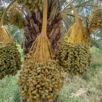 راهنمایی میخوام