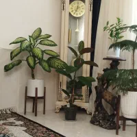 ساعت ایستاده