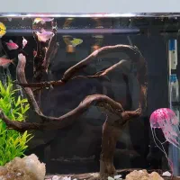 اکواریوم دلسا k500 درحدنو با تمام تجهیزات