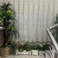 پرده|پرده، رانر، رومیزی|تهران, شهر زیبا|دیوار