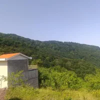 اجاره ویلا|اجارهٔ کوتاه‌مدت ویلا و باغ|توتکابن, |دیوار