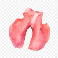 جگر سفید دونه ای ۱۵۰