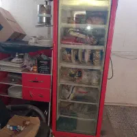 فریزر ایستاده اوگور ترک