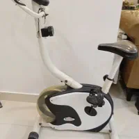 دوچرخه ثابت