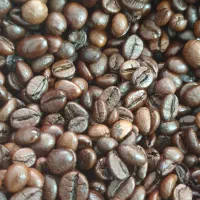 دان قهوه|عمدهفروشی|کرمان, |دیوار