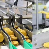 همفکری برای یک کار تولیدی با سود مناسب