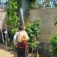 گلکاری درخت کاری سمپاشی جابجای خاک گلدان وباغچه|خدمات باغبانی و درختکاری|مشهد, دانشجو|دیوار