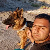 یک سگ واگذار|سگ|بندر امام خمینی, |دیوار