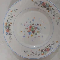 آرکوپال گل ویکتوریا اصل فرانسه نو نو