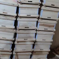 کندو زنبور عسل
