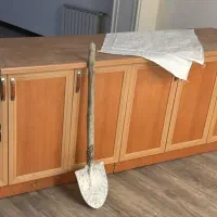 اپن|حراج|رشت, کاکتوس|دیوار