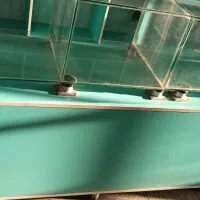 واگذاری و فروش ویترین و دکور و قفسه|فروشگاه و مغازه|یزد, |دیوار