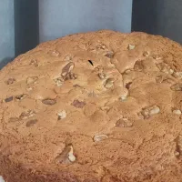 انواع کیک کافه ای|خوردنی و آشامیدنی|قم, باغ پنبه|دیوار